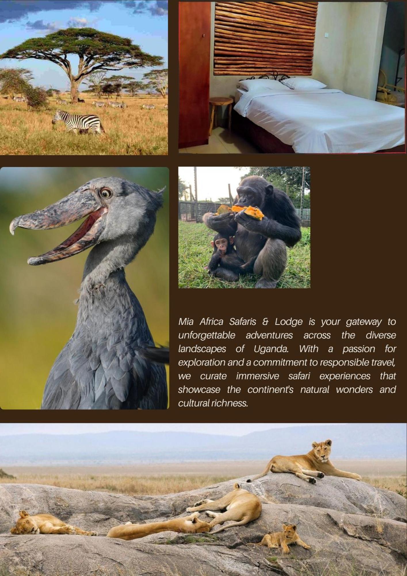 Mia Safari Lodge And Restaurant Entebbe Exterior photo